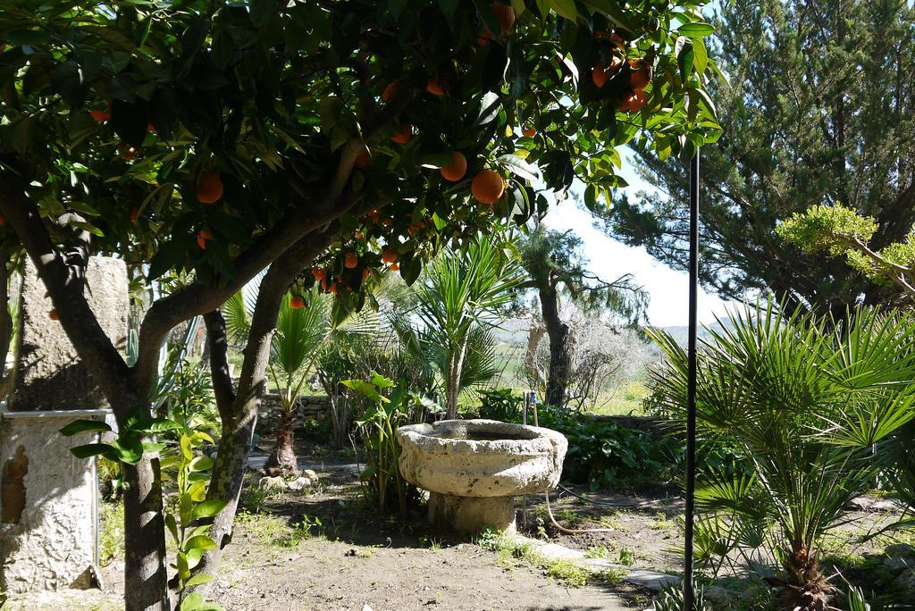 Casa Vacanze Laura Βίλα Καλτανισέττα Εξωτερικό φωτογραφία